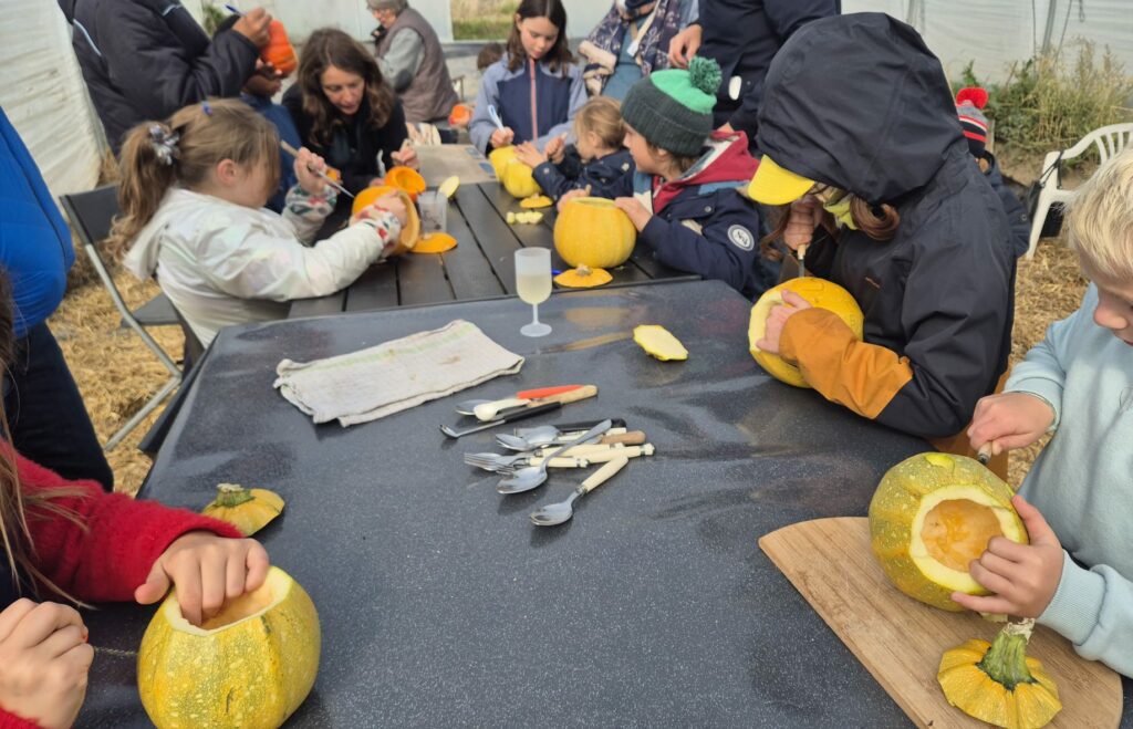 atelier nature enfants Namur